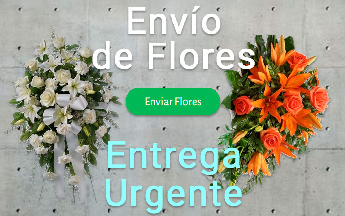Envio de flores urgente a Tanatorio Alcala de Henares